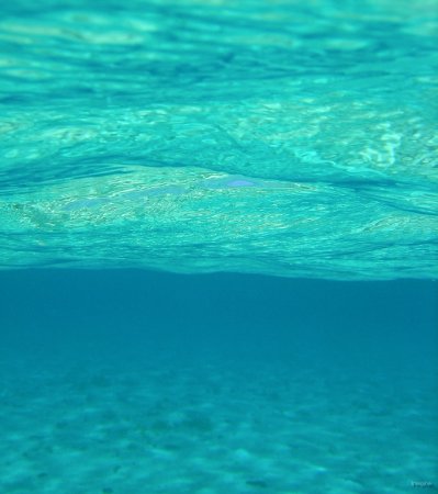 77- Sous la surface 